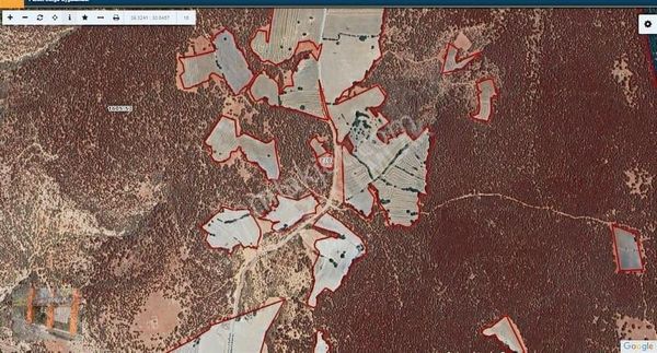 Başkan Emlaktan Satılık Seyitgazi Çatören 3.154 M2 Tarla