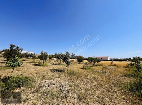 Satılık Güzel Köy' 'de Bağ Evi