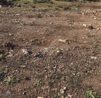 Konyaaltı Geyikbayırı'nda Satılık Arsa