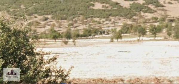 Atlantisten Yassıhüyükte Antalya Yoluna 74 M,2370 M2 Tarla!