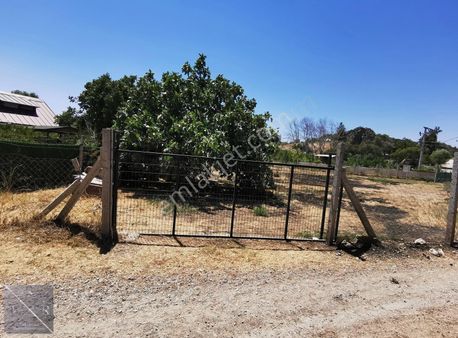 Tsr'den Menderes Dereköy'de Köşe 732m² Satılık Bahçe