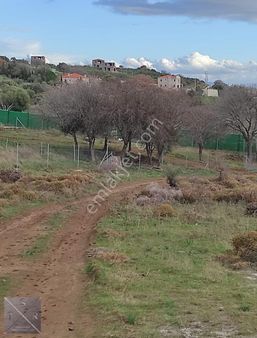 Tsr Yatırımdan Yenibağarasın'da Yerleşime Yakın 325m² Bahçe