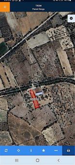 Fırsat Bağ Senirkent Kıbrıs Ta Su Elektrik Yol Mevcut