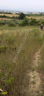 Evrensekide 600 M2 Arsa 3 Kat İmarlı