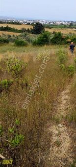 Denizyaka Mah Denize 4 Km Mesafede Tek Tapu Tarla