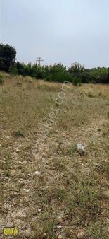 Çardak Köyünde 30 Dönüm Tek Tapu Tarla