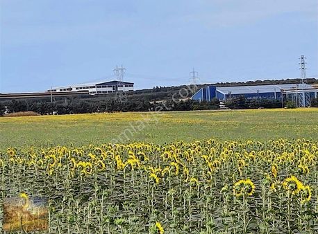 Acil İstanbul Silivri Gümüşyaka Sahibinden 585m2 Arsa