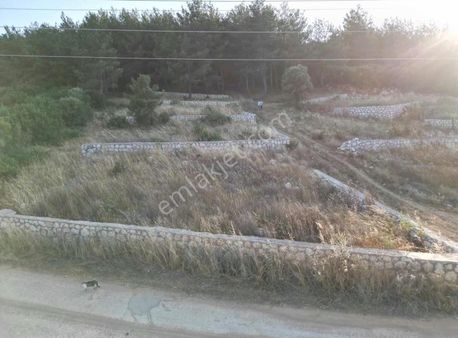 Menderes Çamönünde Satılık 315 M Arsa