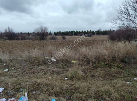 Asel'den Altıntaş-banaz Yolu Benzinlik İzinli 10.000 M2 Arsa