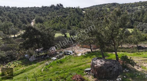 Menderes Görece'de 6236 M2 Tek Tapu Fırsat Bahçe