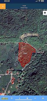 Dağdibinde Fındık Bahçesi Ve Hayvancılığa Uygun Arazi