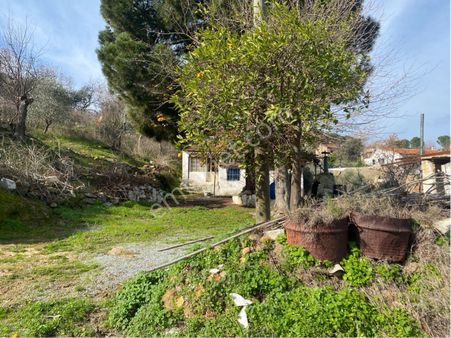 Söke Avşar Köyünde 1 Dönüm İçinde Köy Evi