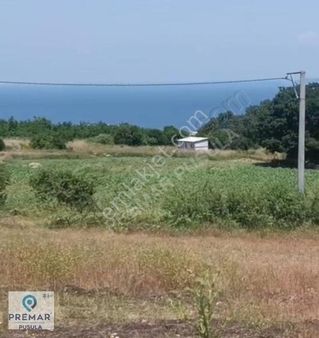 Premar Dan Mudanya Mesudiye Köyü Satılık Deniz Manzaralı Tarla