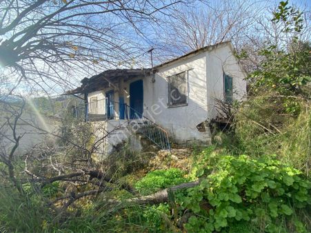 Koca Bahce İçinde Köy Evi 750 M2 Dev Bahçe