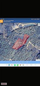 Remax Anka'dan Kandırada 5951 M2 Satılık Fındık Bahçesi