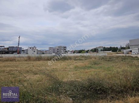 Rs Mutlu Yolçatı 1150 M2 İmara Sıfır Satılık Tarla