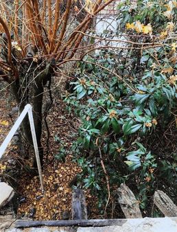 Evrim Emlak'tan Satılık Köy Evi