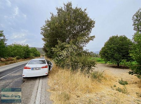 Acıpayam Akşar Ana Asfalt Üzeri Harika Konumlu Tarla