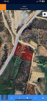 Oymapınar'da 2.623 M² Ana Yol Cepheli Tarla