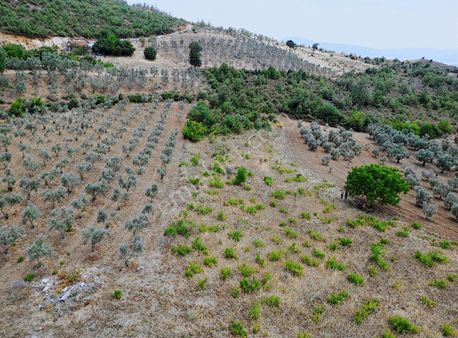 Mert Gayrimenkul'den Karapınar Mahallesi'nde Yatırımlık Tarla