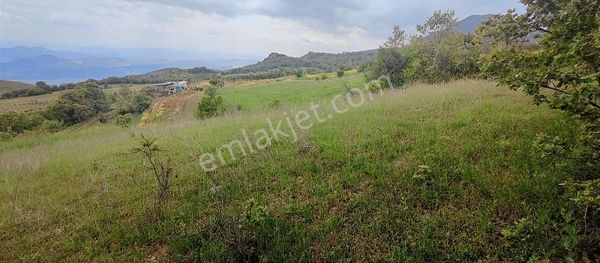 Satılık Arsa Sakarya Pamukova Akçakaya Mahallesi