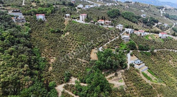 Trabzon Ortahisar Doğançay Da Satılık Arazi