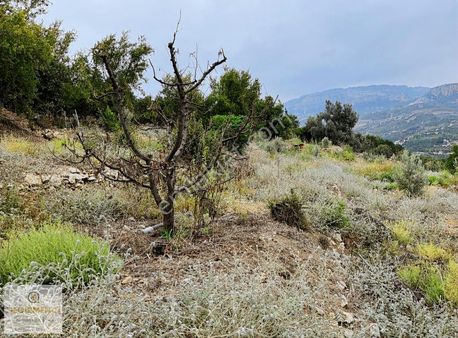 Değirmenciden Uzunkaş Da Satılık Muhteşem Manzaralı 3358m2 Bahçe