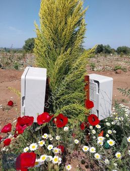 Ezine Gökçebayır Köyünde Harika Konumda Satılık