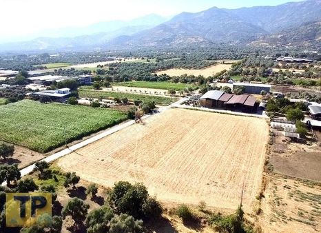 Tire Yakını Işıklı Da Satılık 7088 M2 Tarla