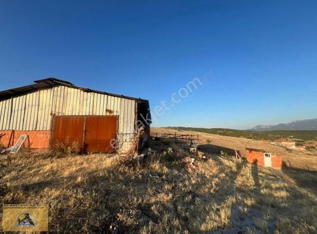 Sarıcalar Köyünde İçinde Evi Ve Hayvan Sayası Olan Süper Yerrr