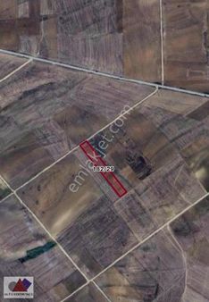 Edirne Uzunköprü Sipahi