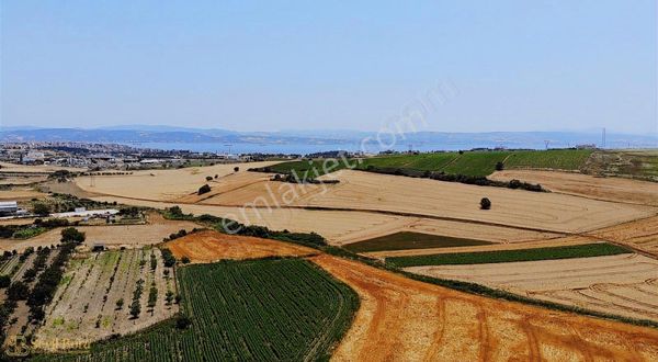 Seçil Bora'dan Anayol 'a Cephe Satılık Arsa