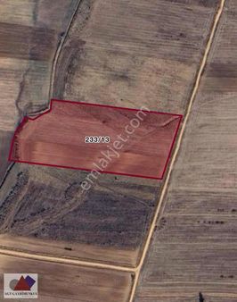 Edirne Süloğlu Yenimahalle