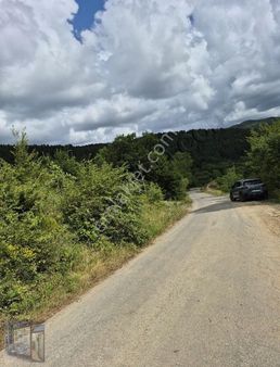 Doğa İle İç İçe Fırsat Yatırım!!