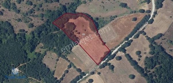 Çanakkale Biga Sarısıvat Köyü 11.863 M2 Satılık Fırsat Tarla