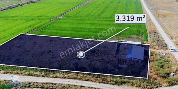Çanakkale Biga Çavuşköy 3.319m2 Satılık Çiftlik