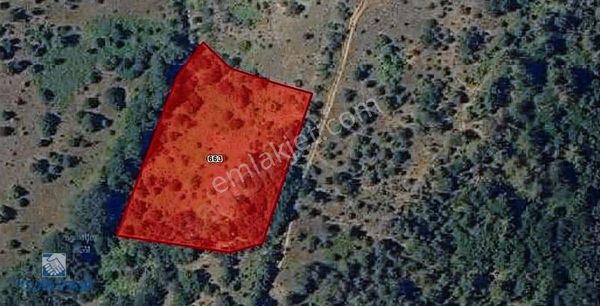 Çanakkale Biga Dikmen Köyü 3.800m2 Satılık Tarla