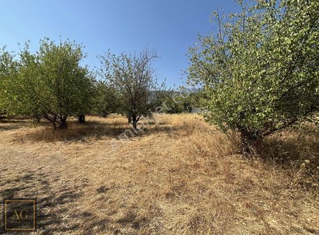 İzmir Kemalpaşa Yeni Çevre Yolu 425m. Bahçe