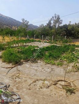 Eğribucakta Satılık 2 Tane Müstakil Ev