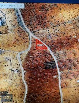 Bağlarbaşı Yatırımlık 2 Dönüm Arazi Fırsatı