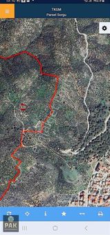 Pak Yapı'dan Satılık Zeytinlik Edremit Yolören Mah.