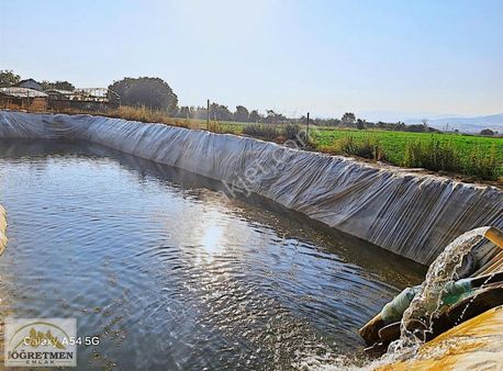 Öğretmen Emlaktan Sulak, Hayvancılık Ve Tarıma Elverişli Arazi
