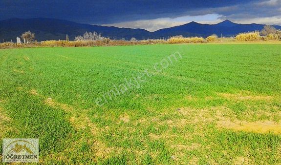 Öğretmen Emlaktan Yol Kenarında Dümdüz Tarla Fırsatı