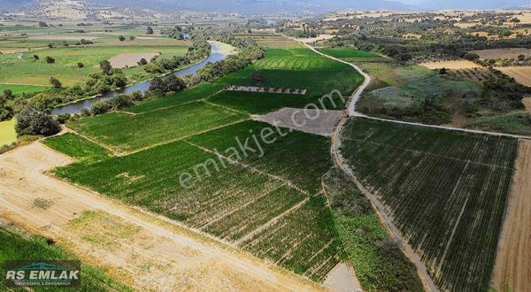 Karacabey Harmanlı'da Yolu Olan Satılık 7700 M2 Fırsat Tarla
