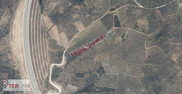 Bursa Gemlik De Denize Bakan Mükemmel Arazi !