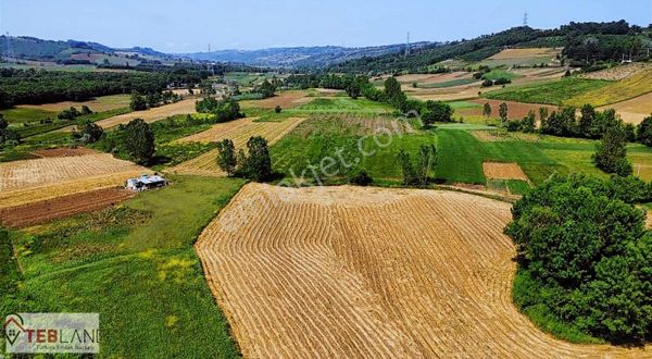 Kocaeli Kandıra Seyitaliler