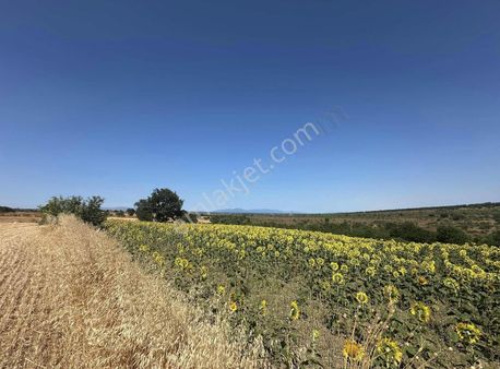 Çanakkale Biga Mahallesi'nde 10.498 M2 Arazi