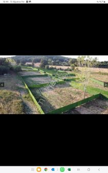 Gebze Cumaköy Satılık Kupon Tarla