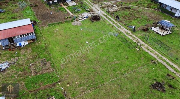 Kestel Gölcük'te 500 M2 Hobi Bahçesi +elektrik Su Var