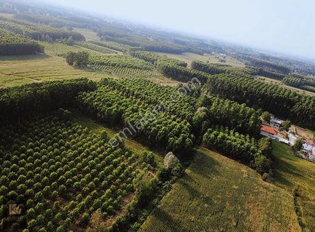 Kurutay Gayrimenkulden Vakıf Mahallesinde Yatırımlık Tarla